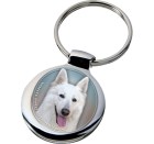 white_swiss_shepherd_dog_347-701 